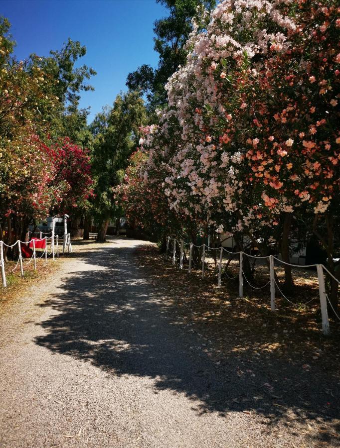 Hotel Camping Pitagora Rossano Exterior foto